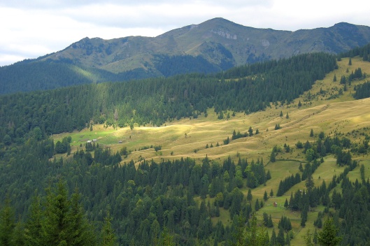 Náhrada škody – za odložené věci neručíme