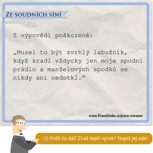 Musel to být zvrhlý labužník, když kradl vždycky jen moje spodní prádlo a manželových spodků se ani nedotkl.