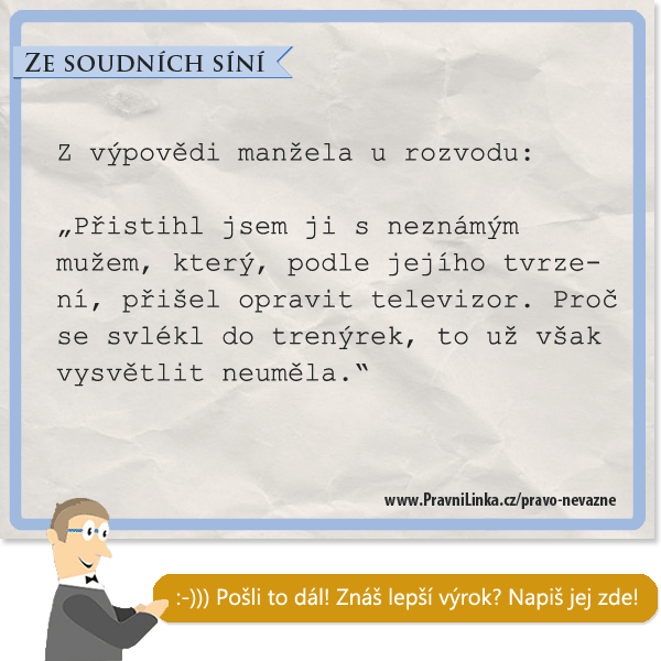 Přistihl jsem ji s neznámým mužem, který, podle jejího tvrzení, přišel opravit televizor. Proč se svlékl do trenýrek, tu už však vysvětlit neuměla.